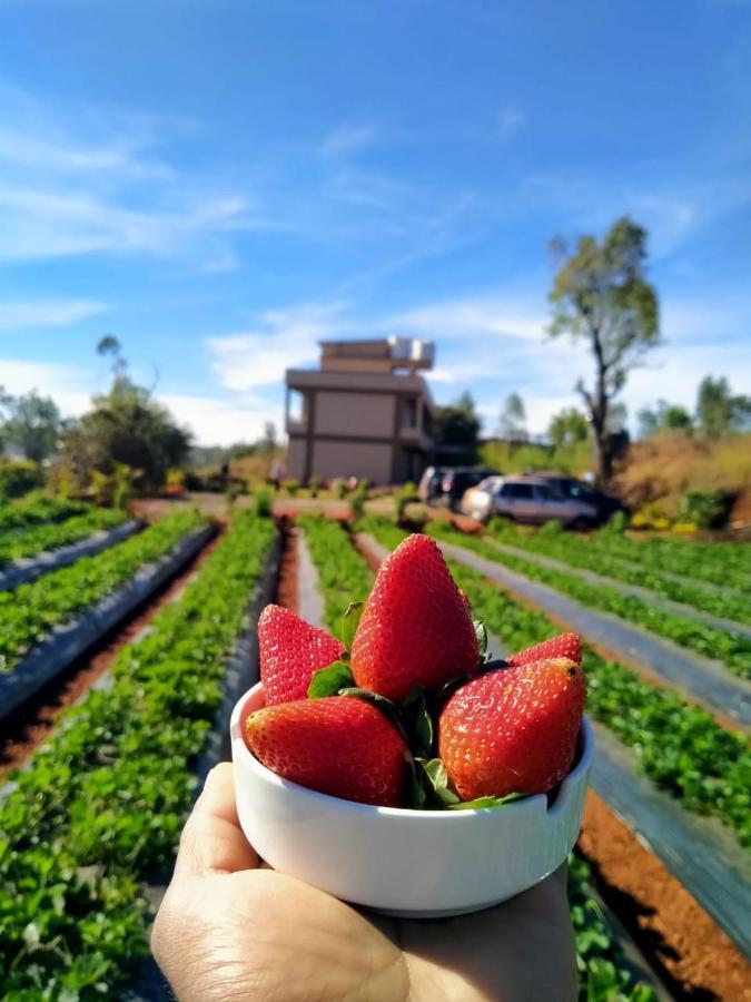 פנצ'גאני Divine Resort - Mahabaleshwar מראה חיצוני תמונה
